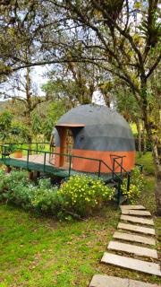 Glamping Reserva del Dorado - 7