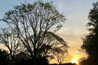 Honu Villas - Wai - 7