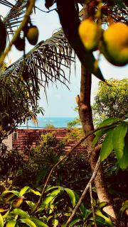 D N A Secret Palace - 8