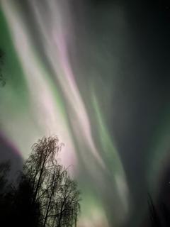 Taika the Arctic Gem with Sauna, Glazed Balcony & Free Parking - 9