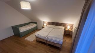 Apartmán Svoboda - 9