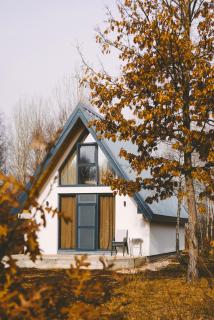 Wild Beauty Brezna - 0