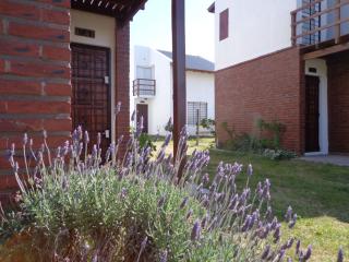 Complejo Toninas Norte - 4