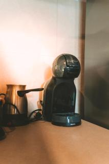 Wild Beauty Brezna - 7