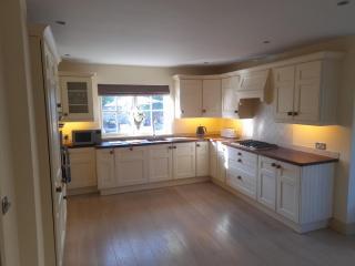 Beautiful home within walking distance to Kenmare - 4