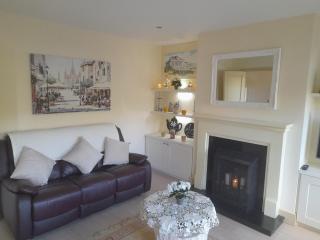 Beautiful home within walking distance to Kenmare - 8