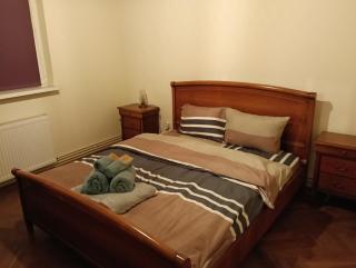 Spital 3 camere Piață 7 Nov - 6