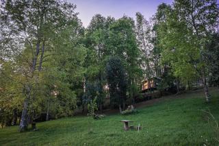 Casa en el Bosque Futrono - 6