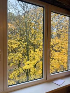 Parko apartamentai Kretinga - 7