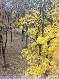 Parko apartamentai Kretinga - 3