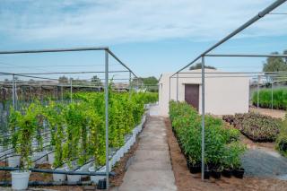 Eco Paradise Harmony 2BHK Nature Retreat - 7