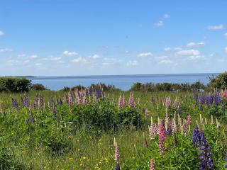 Törneby, Köpingsvik - 7