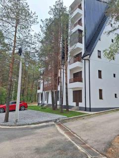 Pino Silvestre Divčibare - 7