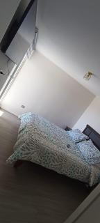 Relajo de la costa - 7