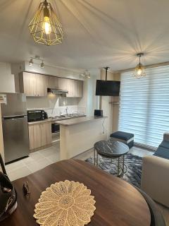 Departamento piscina y estacionamiento en condominio Villarrica - 9