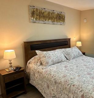 Departamento piscina y estacionamiento en condominio Villarrica - 1