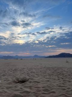 Madonna Rum camp bubbles & Jeep tours - 8