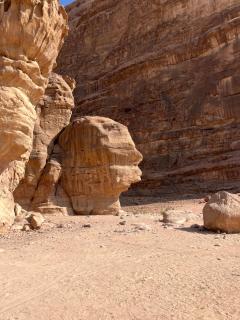 Madonna Rum camp bubbles & Jeep tours - 9