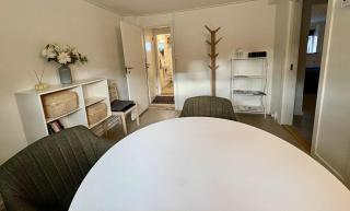 Cozy basement apartment - 3