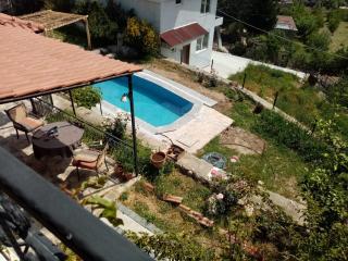 Villa Mountain with Pool - 5