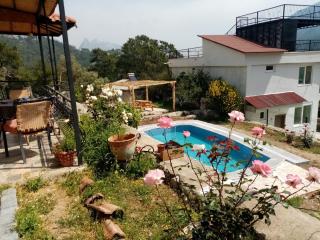 Villa Mountain with Pool - 4