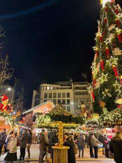 Complete studio for 4 in the heart of Luxembourg - 7