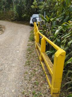 Maison tranquille - 8