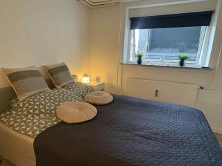 Cozy basement apartment - 5