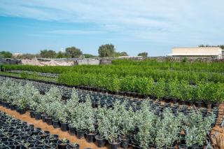 Eco Paradise UAQ 2BHK Studio Near UAQ Zoo - 5