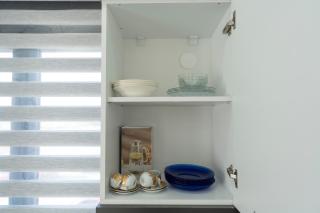 The Orange Cactus - 5