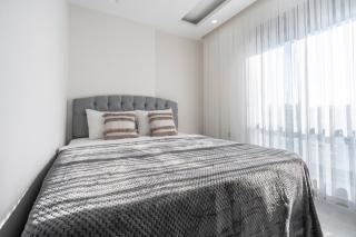 The Orange Cactus - 4