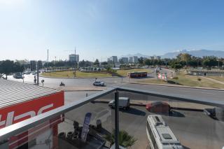 The Orange Cactus - 2