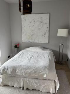 Room in modern downtown apt with private bathroom - 7