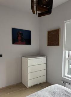 Room in modern downtown apt with private bathroom - 2