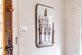 Jungle House Chillicothe Sleeps 12 Downtown Ohio Free Parking - Walk to Historic District - 3BR Luxury Home - Pet Friendly - King Beds - Over 5,800 Five Star Stays - 1