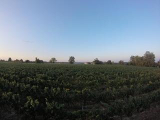 Domaine de Montels - 2