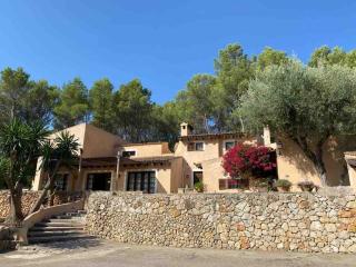 MARAVILLOS FINCA en el centro de la isla - 0