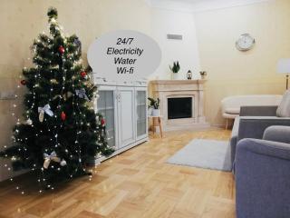 One bedroom apartment with balcony-Kostyushka street,16 - 9