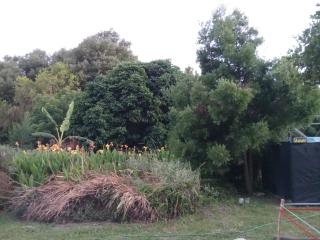 Tannenhof Countryside Log Cabins - 1