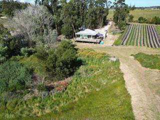 Chacra El Solitario - 5