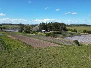 Chacra El Solitario - 1