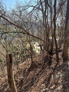 Luxury open Loft in Villa close to secluded beaches La Boquilla y playa del Muerto - 8