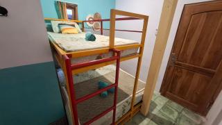 The Backyard Hostel - Timuran - 3