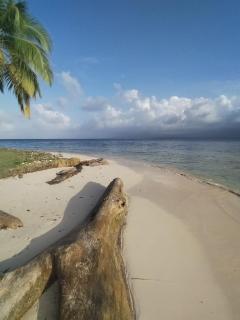 DGunayar Camping - 0