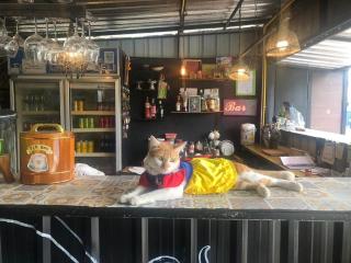 Blockhouse Samui - 6