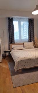 Srna Lux Aerodrom With Rent a Car - 1