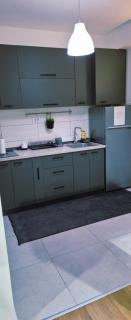 Srna Lux Aerodrom With Rent a Car - 2