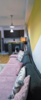 Srna Lux Aerodrom With Rent a Car - 7