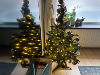 Stijlvolle benedenwoning Singel - 9