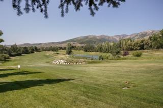 Eden Valley Escape at Wolf Lodge - 3